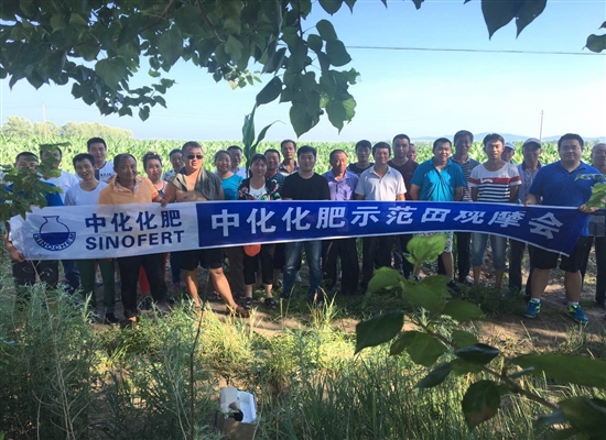 中化农业服务团队 我们在路上_分公司_中化化肥黑龙江分公司_农化服务