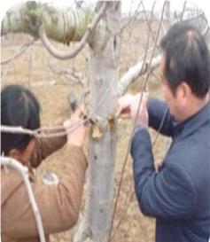 点击查看大图