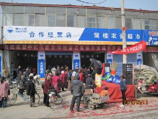 点击查看大图