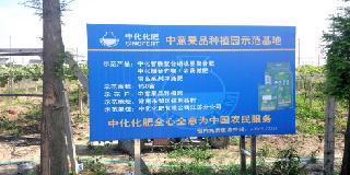 点击查看大图