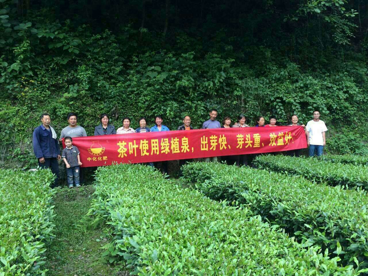 点击查看大图