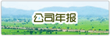 公司年报